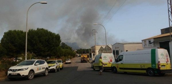 Continúan las labores de remate y extinción del incendio declarado el jueves en Moguer
