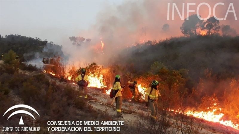 Fiscal pide reunión con Subdelegación del Gobierno y Guardia Civil para analizar incendios de los últimos días