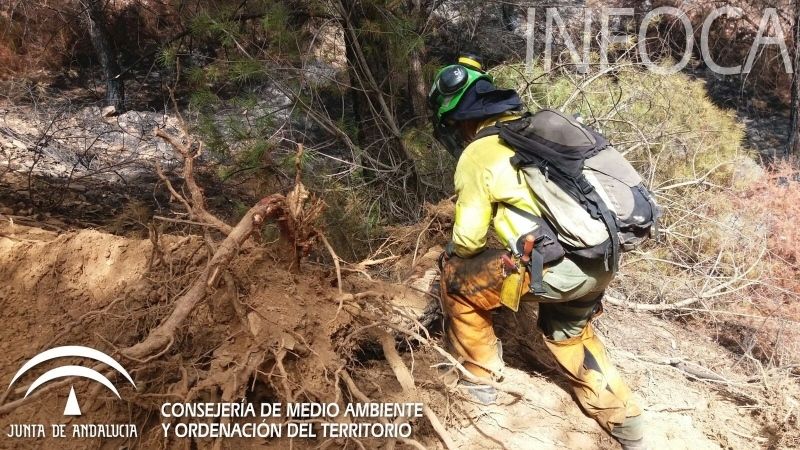 Extinguido el incendio en Almonaster la Real que ha calcinado unas 300 hectáreas