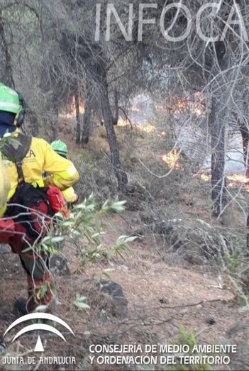 La Fiscalía revisará incendios anteriores al de Nerva para bucar posibles conexiones