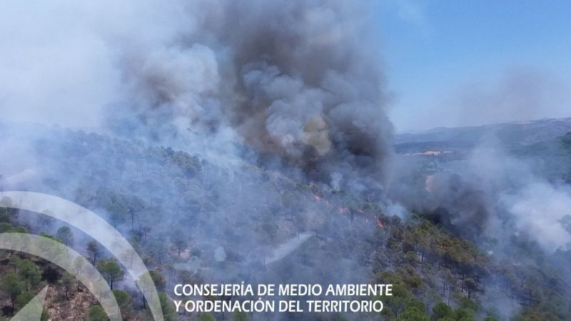 Detienen a un menor de edad como presunto autor de los incendios en La Zarza