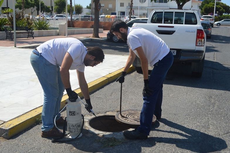 El Ayuntamiento de Punta Umbría da por finalizado un plan de choque contra las plagas