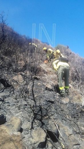 Extinguido un incendio forestal en Aroche originado por un rayo