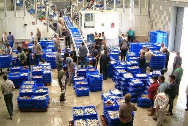 La lonja de Isla Cristina lidera Andalucía en el primer semestre con 10,9 millones de euros de facturación
