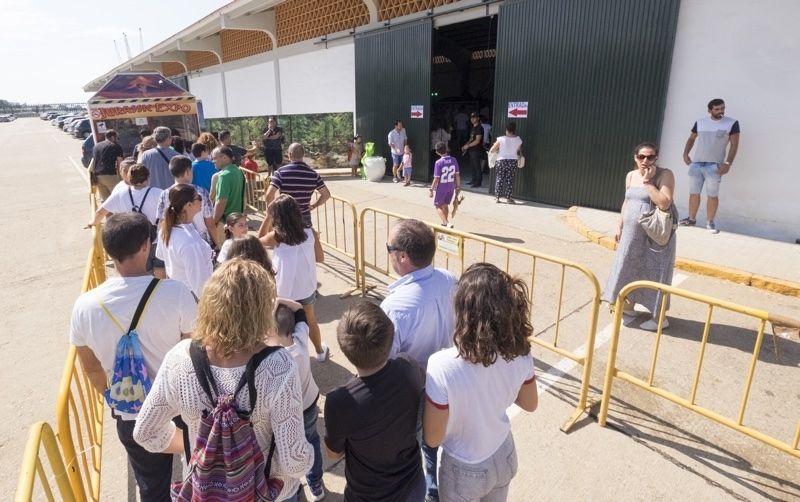Abre en el Muelle de Levante 'Dinosaurs Tour', la mayor exposición de dinosaurios animatrónicos