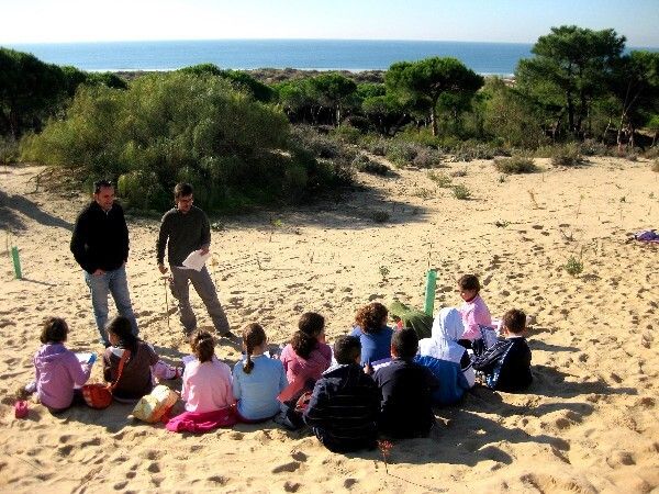 Escolares de Punta Umbría contribuyen a la repoblación de Los Enebrales
