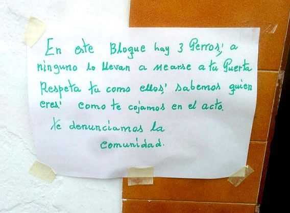El runrún: Competición de fiscales