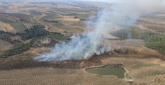 Extinguido el incendio forestal del paraje Pueblo de Dios de Niebla