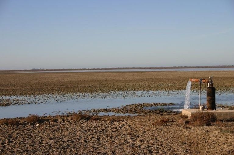 Abren juicio oral contra los dos últimos exalcaldes de Almonte por robos ilegales de agua en Doñana