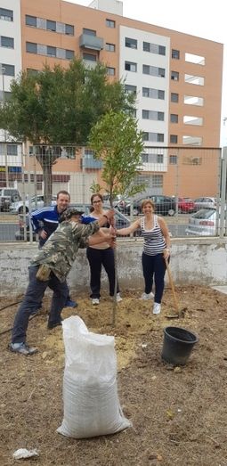 La Asociación ARBA Huelva reforesta el Centro de Salud del Torrejón con especies autóctonas