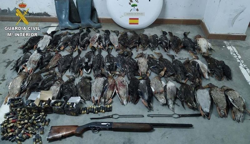 Sorprenden a varios cazadores furtivos de aves acuáticas en una finca cercana al entorno de Doñana
