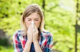 Alergias otoñales: ácaros y hongos
