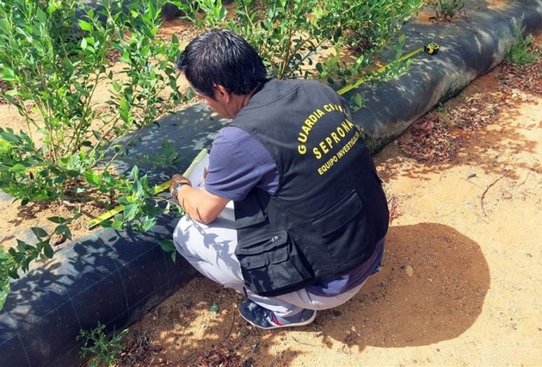 Cuatro investigados por intoxicar a 60 personas en La Redondela tras un presunto uso excesivo de herbicidas