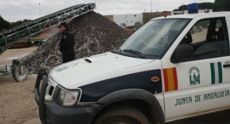 Detienen a un vecino de Cartaya por apropiarse de manera ilícita de 40.000 kilos de piñas y resistirse a la actuación policial