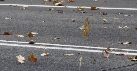 Noviembre llega con temperaturas otoñales en el Puente de Todos los Santos y poca probabilidad de lluvias