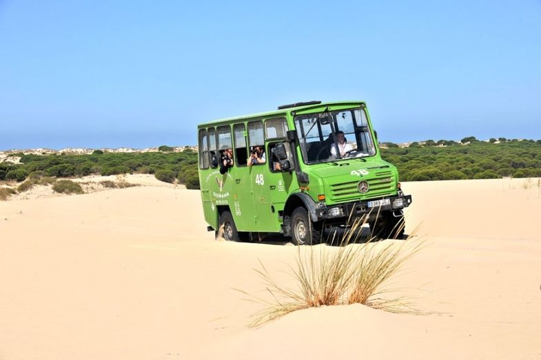 Periodistas alemanes visitan la provincia y recorren el Parque Nacional de Doñana