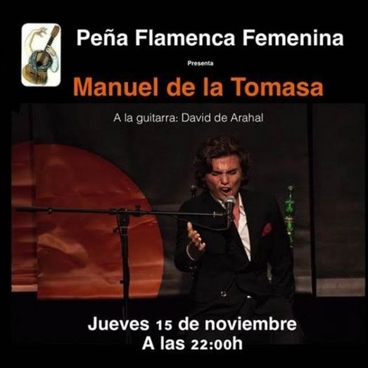Celebración del Día del Flamenco 2018 con el cantaor Manuel de la Tomasa en la Peña Cultural Femenina
