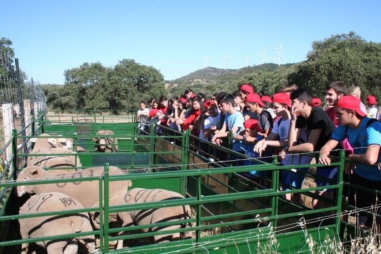 El 'Huerto Ramírez' cierra un nuevo año como puntal de la educación ambiental para la juventud onubense