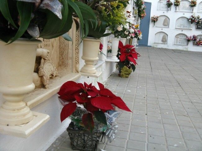 El Ayuntamiento de La Palma también impregna de Navidad el recinto del cementerio