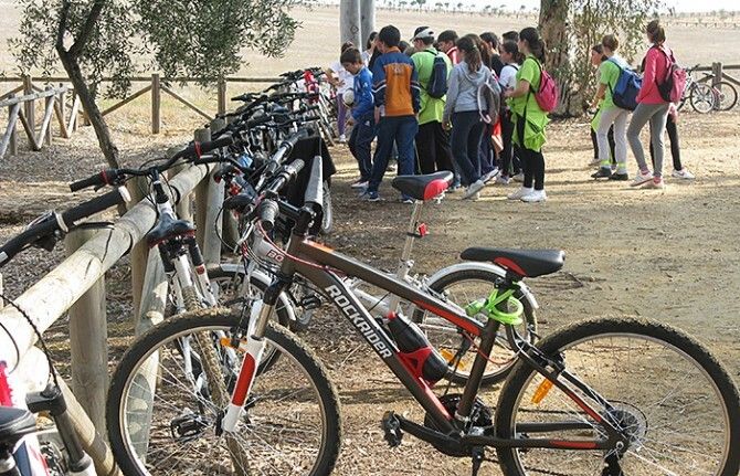 180 palmerinos participan en el Día de la Bicicleta 