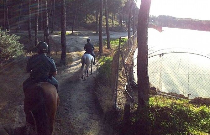 La Guardia Civil trae de Madrid agentes a caballo para evitar robos en las explotaciones freseras