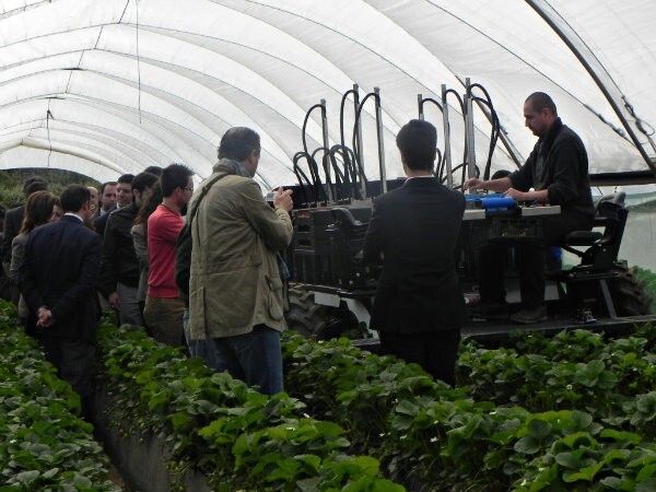 Culmina la construcción de un robot cosechador de fresas que se exportará para su uso en Estados Unidos