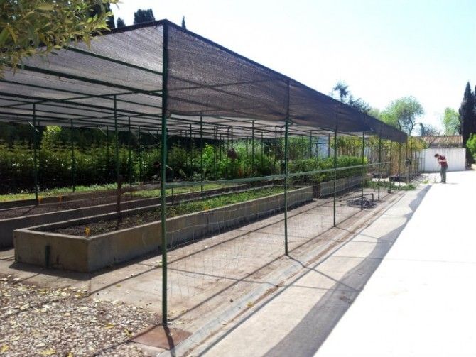 El vivero provincial de Diputación cuenta con más de 85 especies distintas de árboles y arbustos