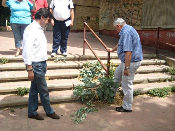 El PSOE lamenta los problemas de ratas y cucarachas que han sufrido en el barrio del Polígono de San Sebastián