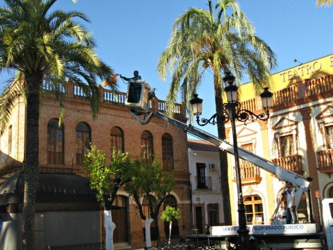 Comienza la fumigación de palmeras para la prevención del picudo rojo en La Palma