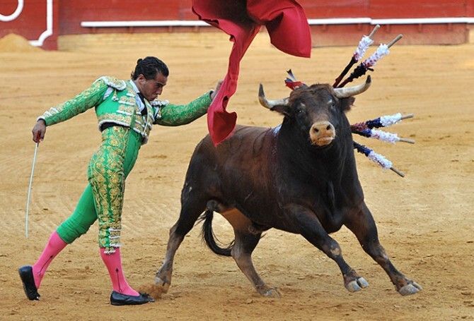 El Cid consigue el único trofeo de la primera tarde de Colombinas