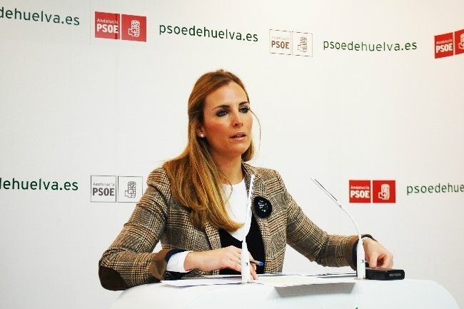 El PSOE lamenta el 'acoso y derribo' del PP a la educación pública
