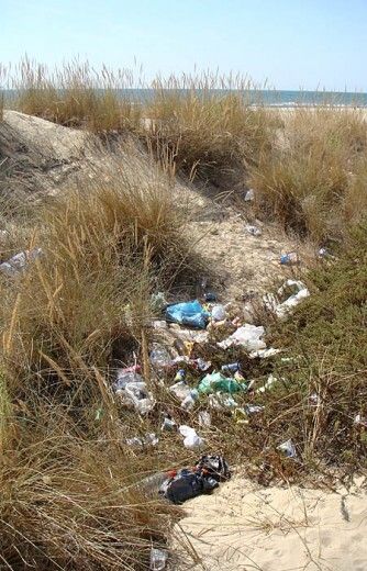 ¿Por qué las playas de Huelva están tan sucias?