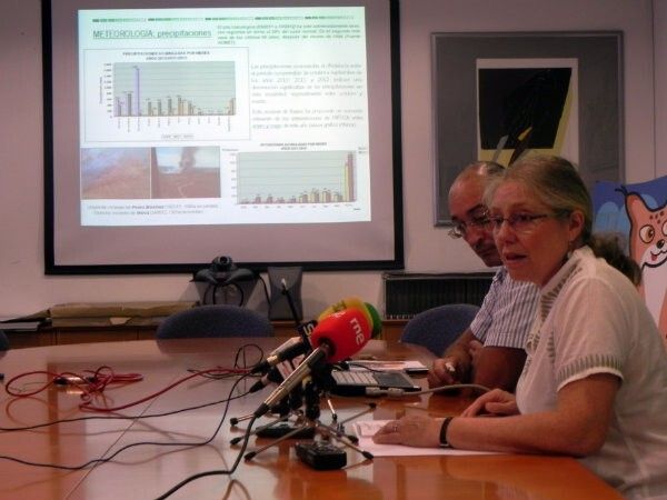 La campaña de extinción de incendios en la provincia de Huelva se salda con 593,7 hectáreas forestales afectadas