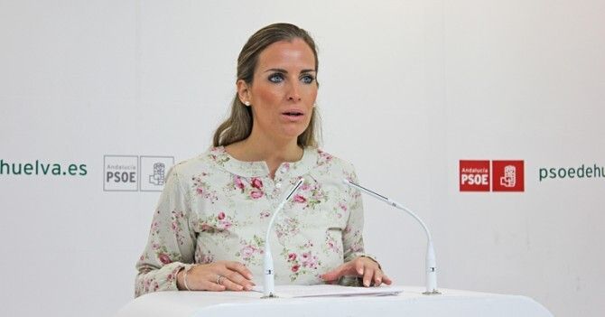 El PSOE presentará mociones “contra los recortes del Gobierno en políticas de violencia de género”