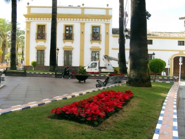 La Palma ya vive la Navidad con alumbrados y plantas de Pascua