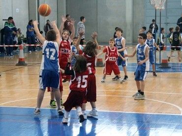 Concentración de benjamines y prebenjamines en el Palacio