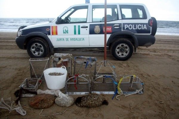 La Policía adscrita a la Junta denuncia en enero a 35 personas por marisqueo a pie sin autorización