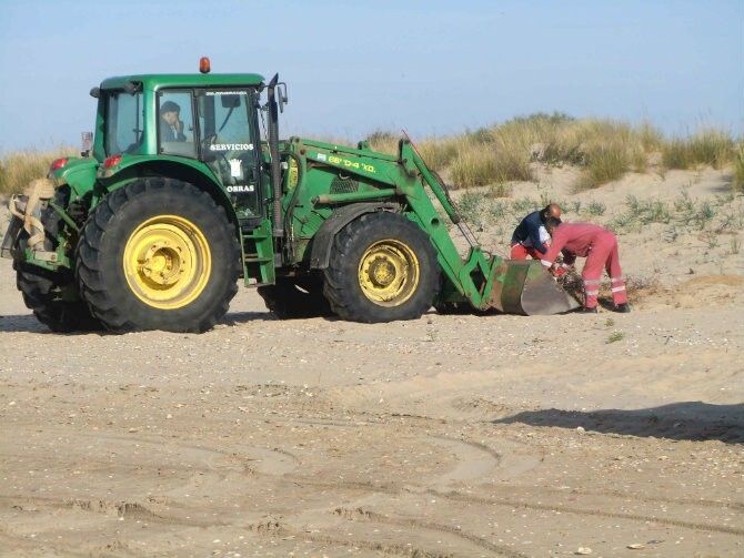 El Ayuntamiento asegura que las playas de Cartaya están listas de cara a la Semana Santa