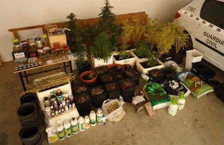 La Guardia Civil descubre un cultivo de marihuana en Aljaraque