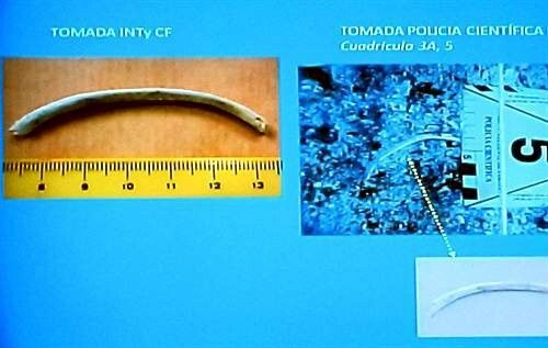 La forense que dictaminó que los huesos eran de animales afirma que se equivocó