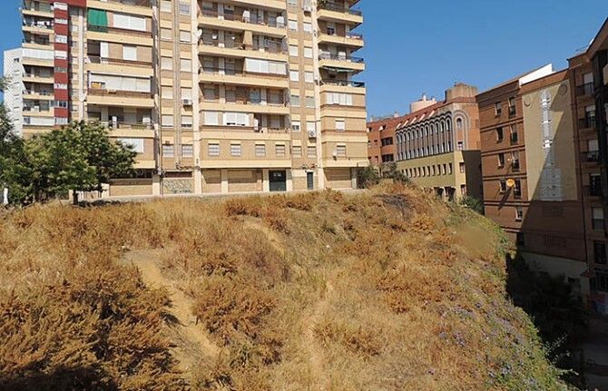 El PSOE denuncia el abandono del cabezo Mackay Macdonald y el 'peligro de incendios y plagas'