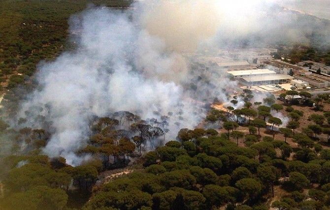 Controlado y casi extinguido un incendio en un pinar de Nuevo Portil