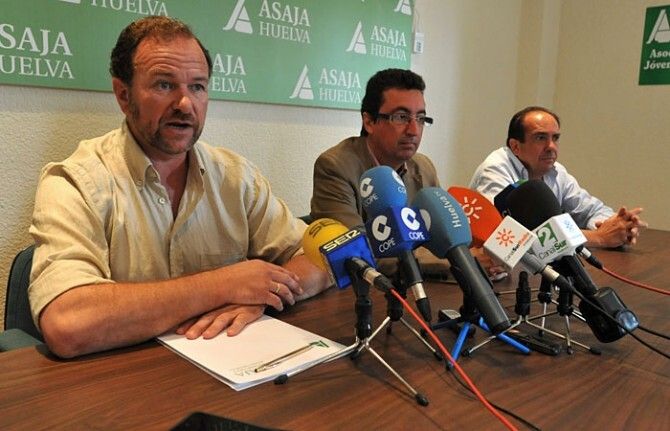 Asaja estima pérdidas de cinco millones de euros y encara con incertidumbre la campaña