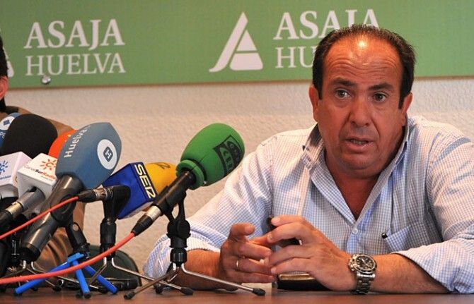 Asaja estima pérdidas de cinco millones de euros y encara con incertidumbre la campaña