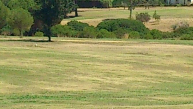 El Bellavista Golf Club despide a 8 trabajadores que denunciaron impagos y entra en preconcurso de acreedores