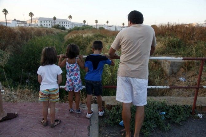 Ratas, cucarachas y mosquitos invaden a vecinos de Cartaya