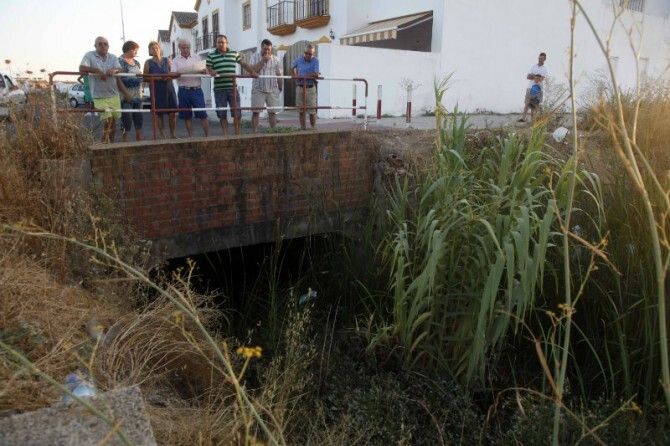 Ratas, cucarachas y mosquitos invaden a vecinos de Cartaya