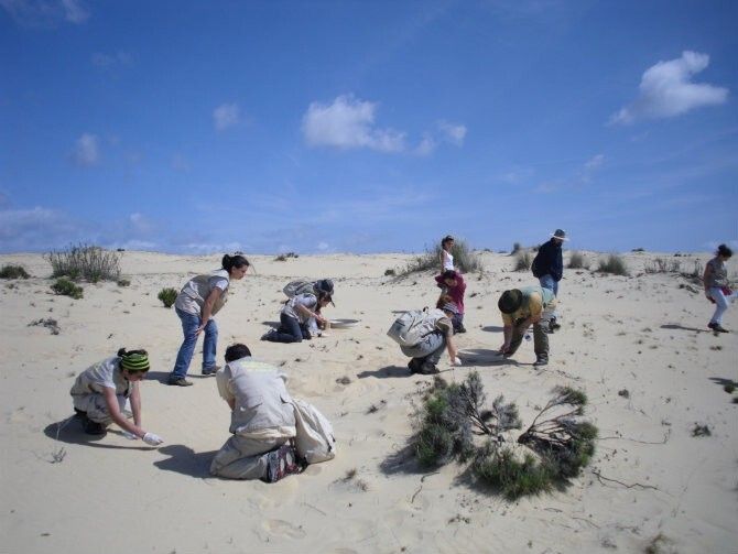 Recogida de perdigones de plomo en el Cerro de los Ánsares