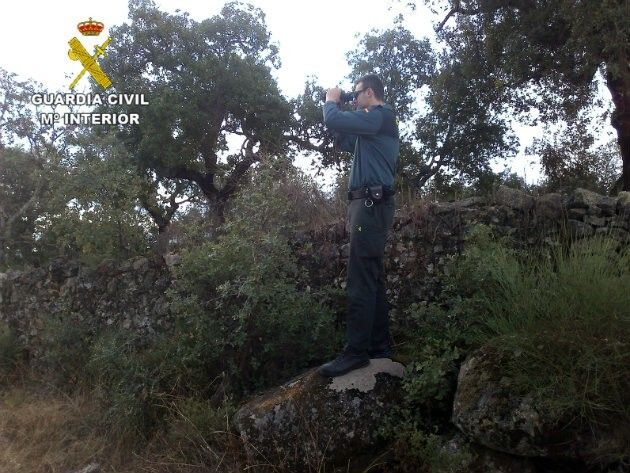 La Guardia Civil rescata a 9 adultos y 8 niños pequeños que se perdieron en el monte