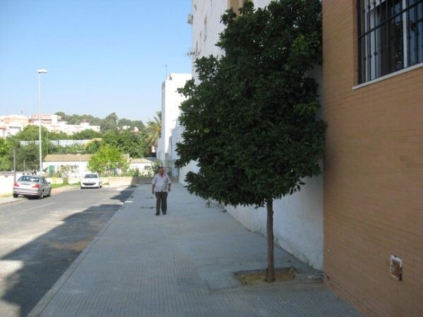 El Ayuntamiento urbaniza las traseras de la callle La Gomera